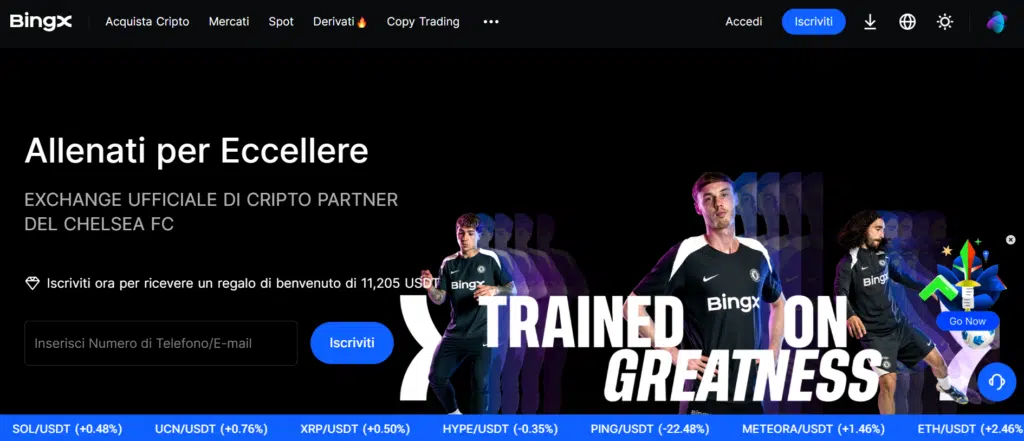 sito ufficiale BIngX