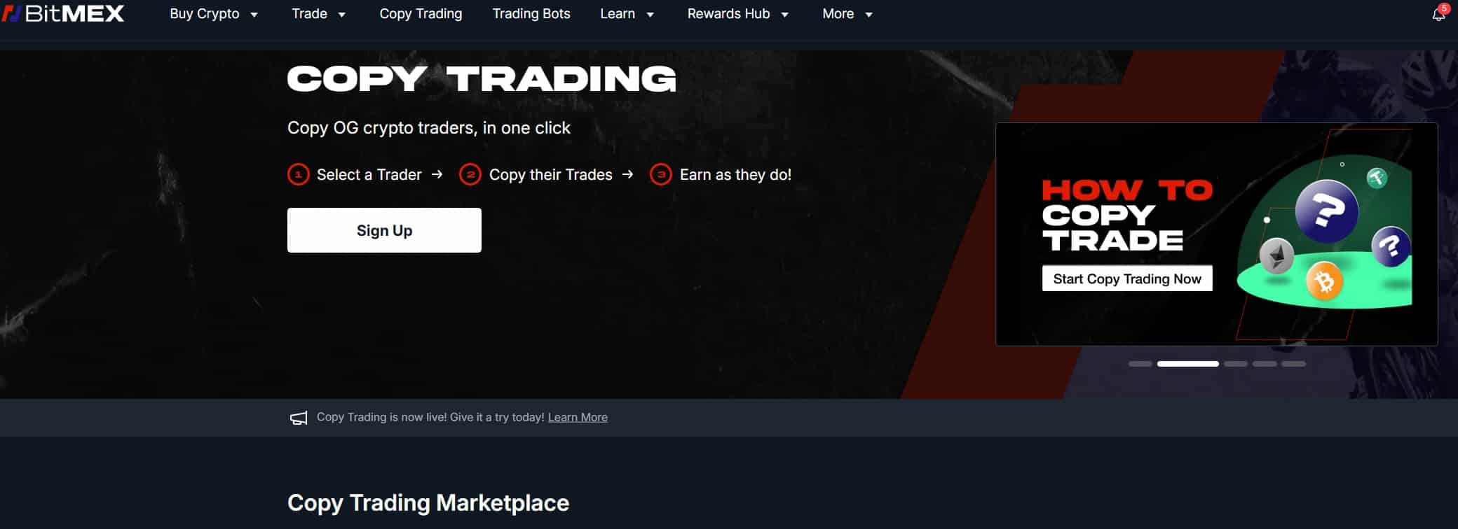 BitMEX Copy Trading