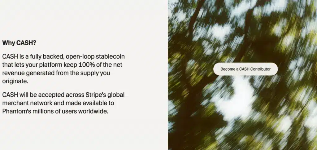 Cash rendimenti distribuiti