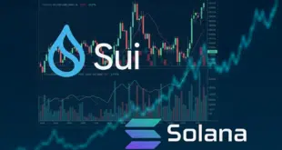 Sui - Solana