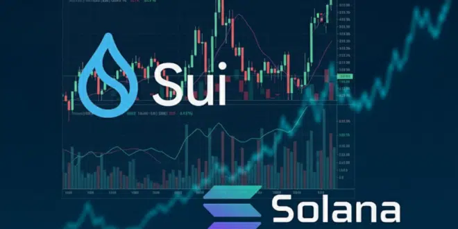 Sui - Solana