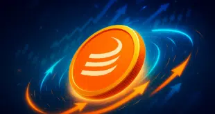 Maple Finance (SYRUP)