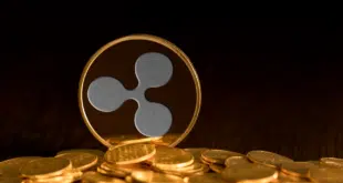 RIPPLE BORSA