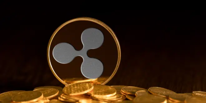 RIPPLE BORSA