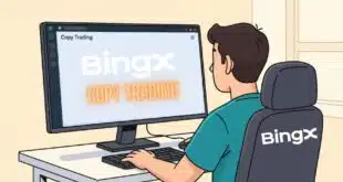 BingX Copy Trading