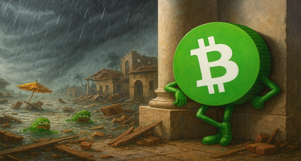 Bitcoin Cash RESISTE alla tempesta: BCH rimane più forte di BTC!