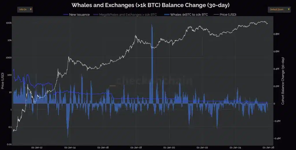 bilancio whales bitcoin
