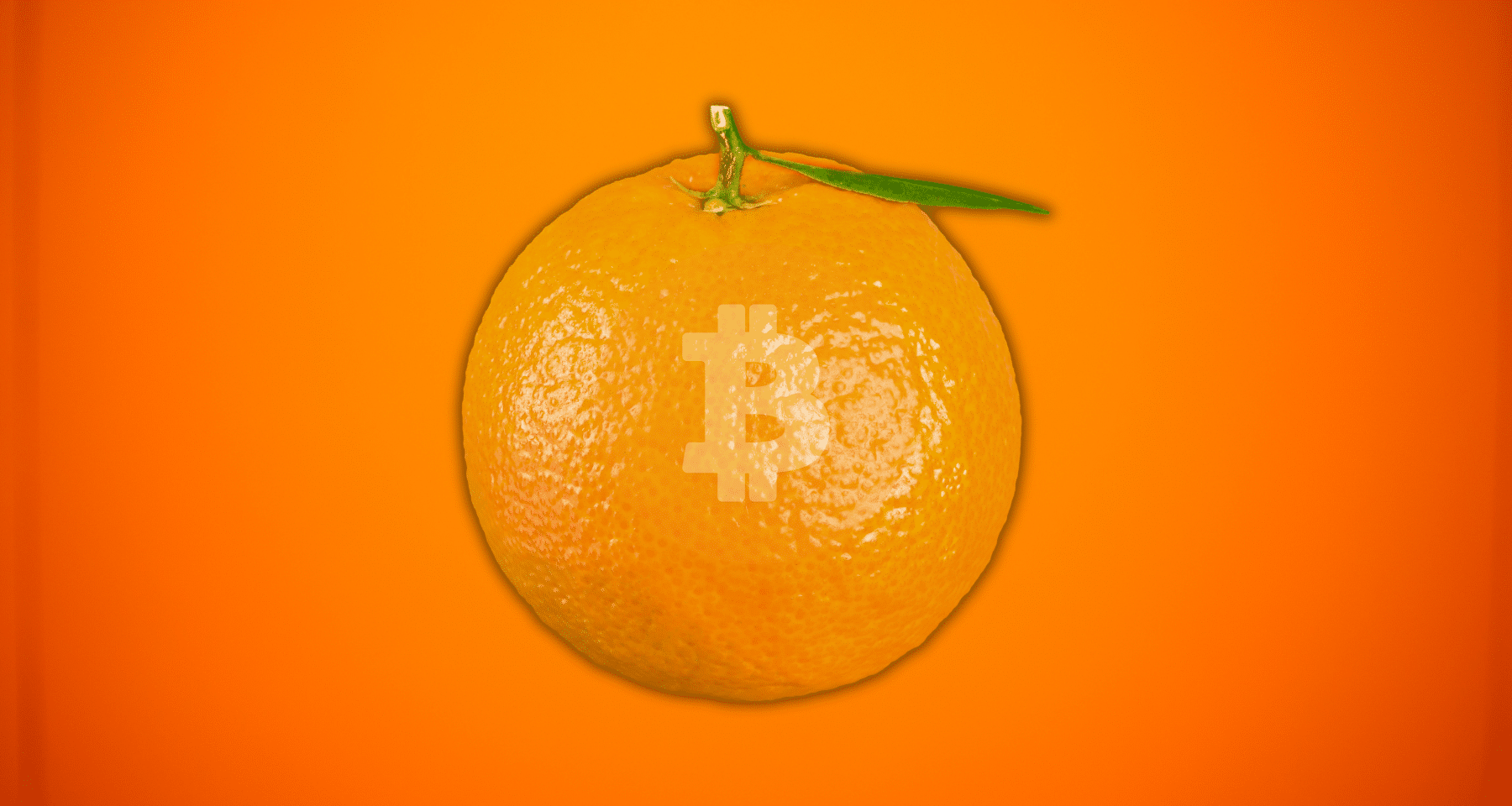 Strategy ALL-IN: ancora 1.287 Bitcoin comprati in settimana. Emissione però fa arrabbiare azionisti