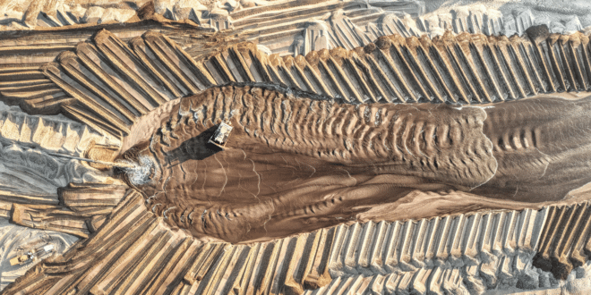 Ce projet crypto REJETTE Donald Trump : "dommages énormes au secteur !" - La Crypto Monnaie