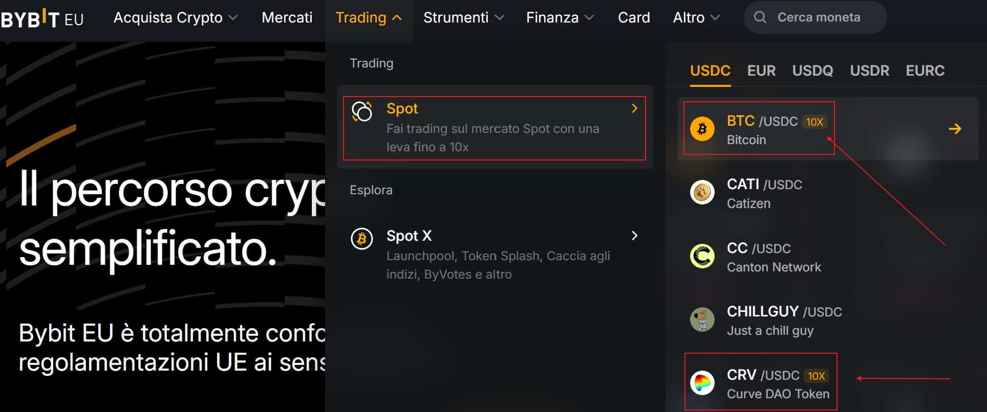 Bybit Margin Trading Spot