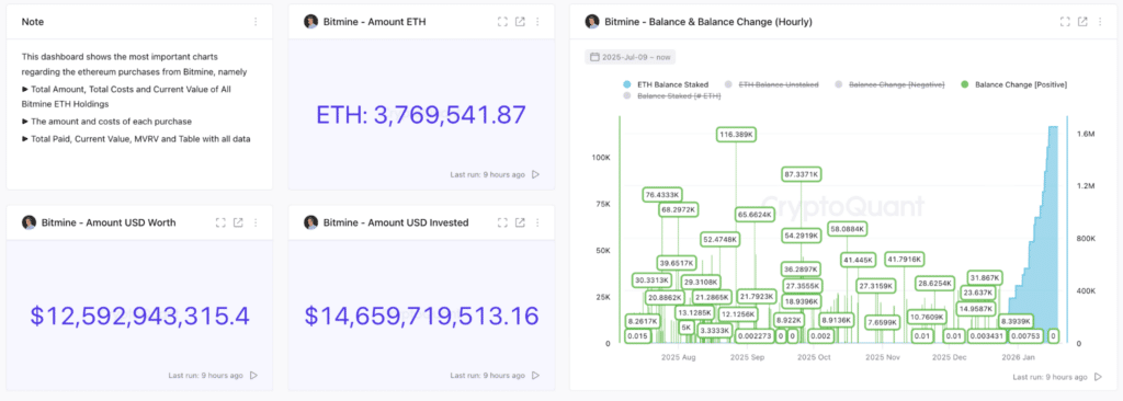 Bitmine bilancio