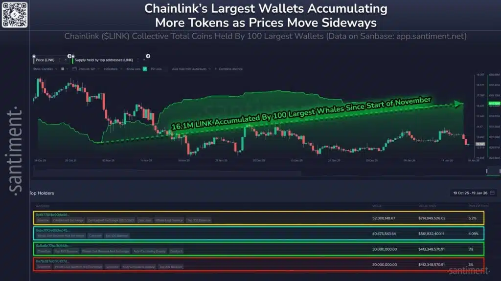 Whales Chainlink