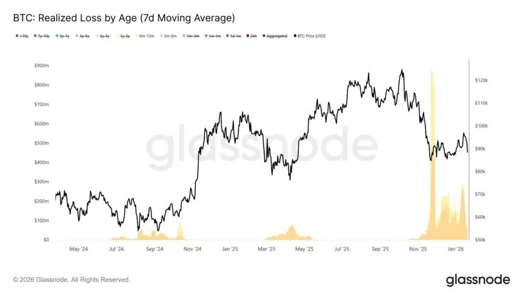 Perdite realizzate divise per età indirizzi