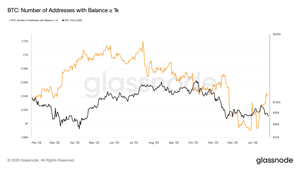 Indirizzi saldo > 1.000 BTC