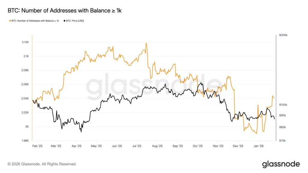 Indirizzi saldo > 1.000 BTC