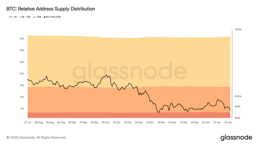 Distribuzione supply Bitcoin