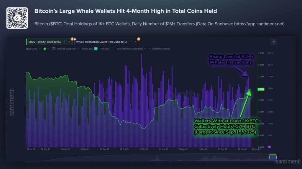 indirizzi almeno 1.000 BTC