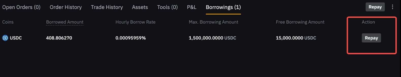 Rimborso prestiti Margin Trading Spot Bybit EU