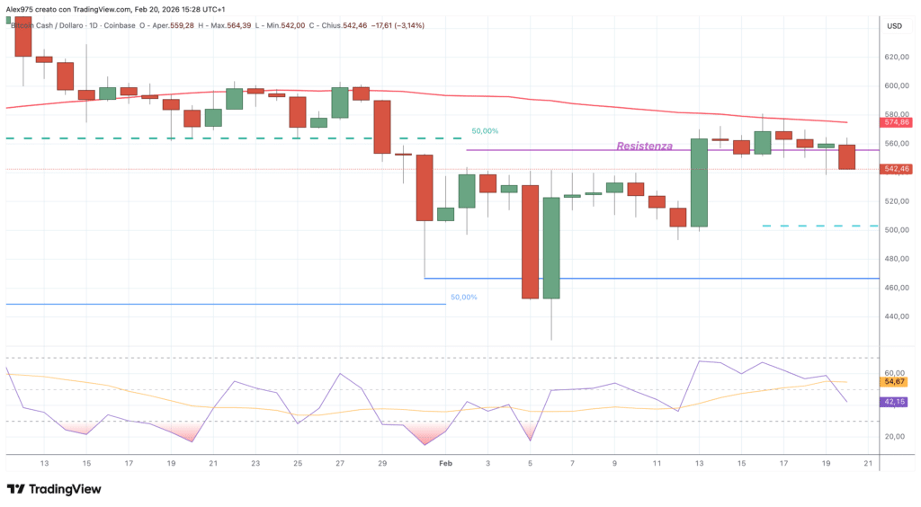 Bitcoin Cash (BCH) - daily 20 febbraio 2026