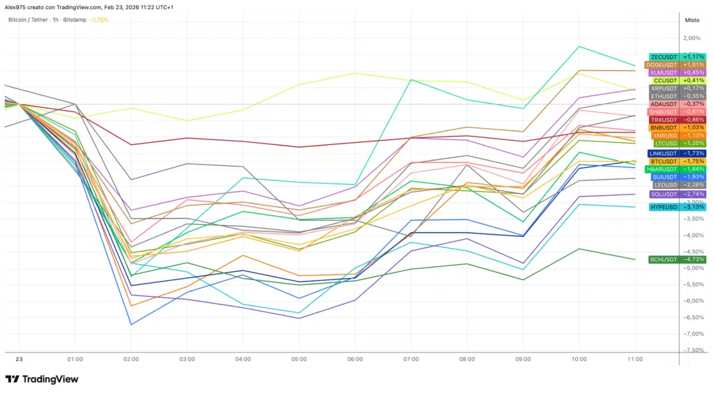 Crypto Top 20 - grafico 1H