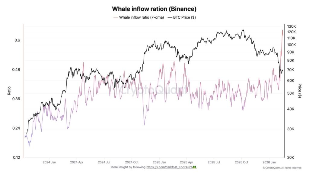 Whale ratio inflow Bitcoin