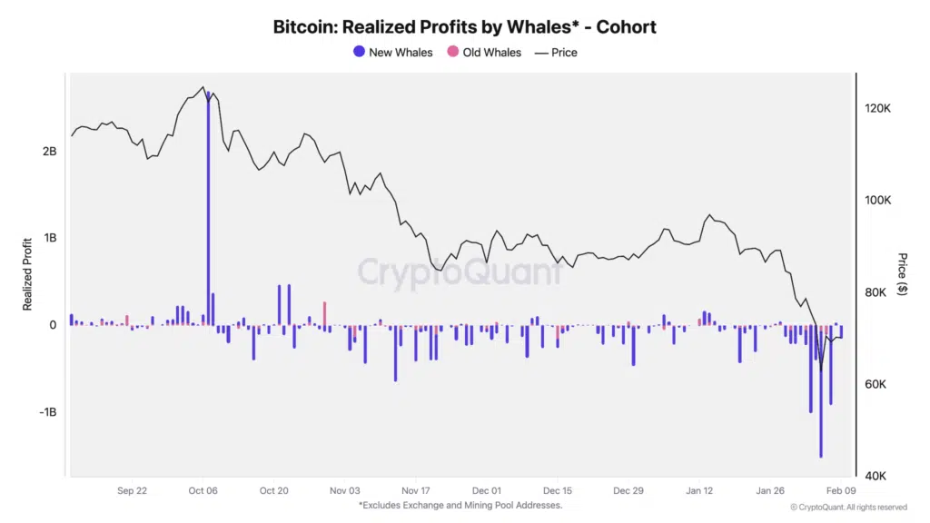 Whale perdite Bitcoin