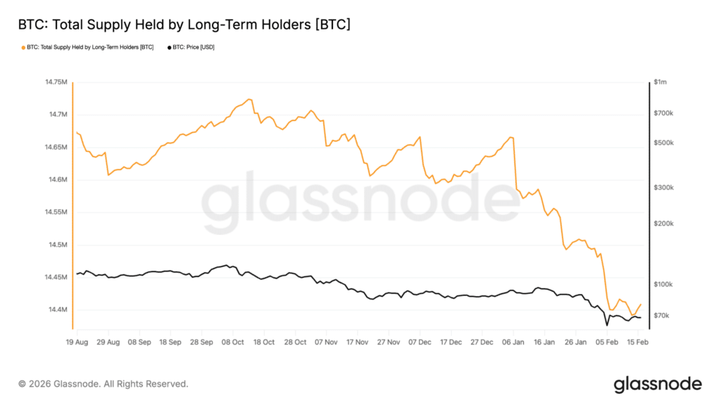 Long term holders supply