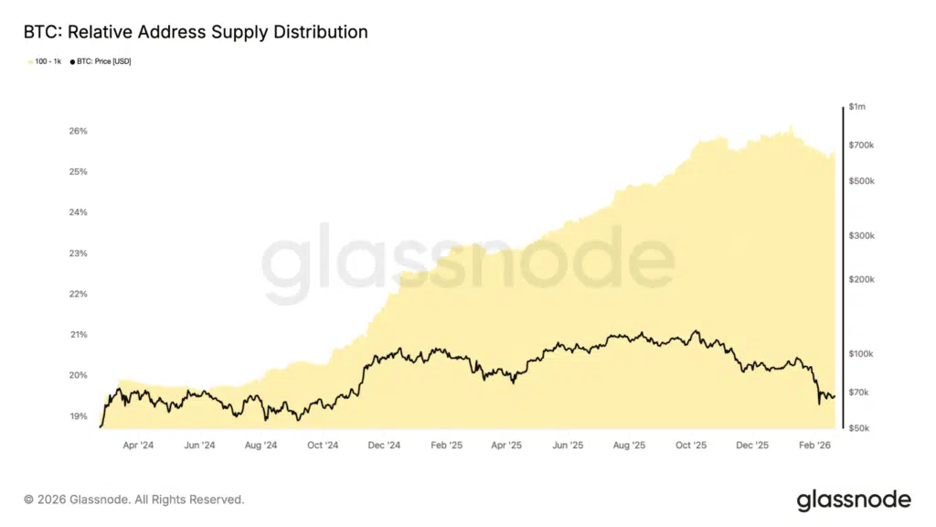 Supply indirizzi 100- 1.000 BTC