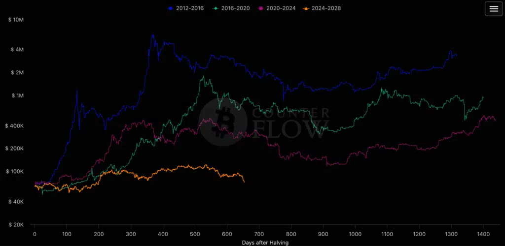Conteggio giorni dopo ogni halving Bitcoin