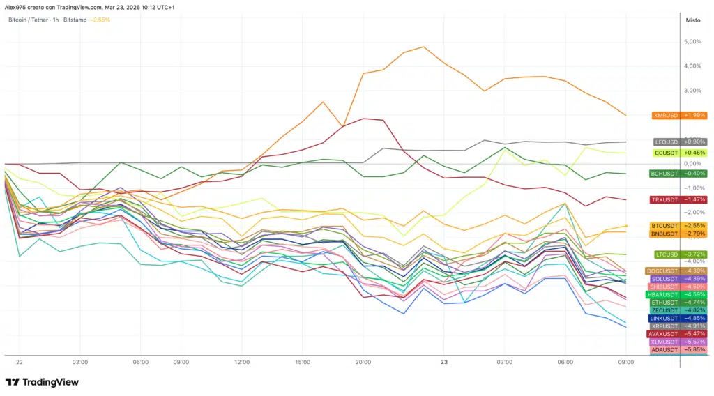 Crypto Top 20 - grafico 1H