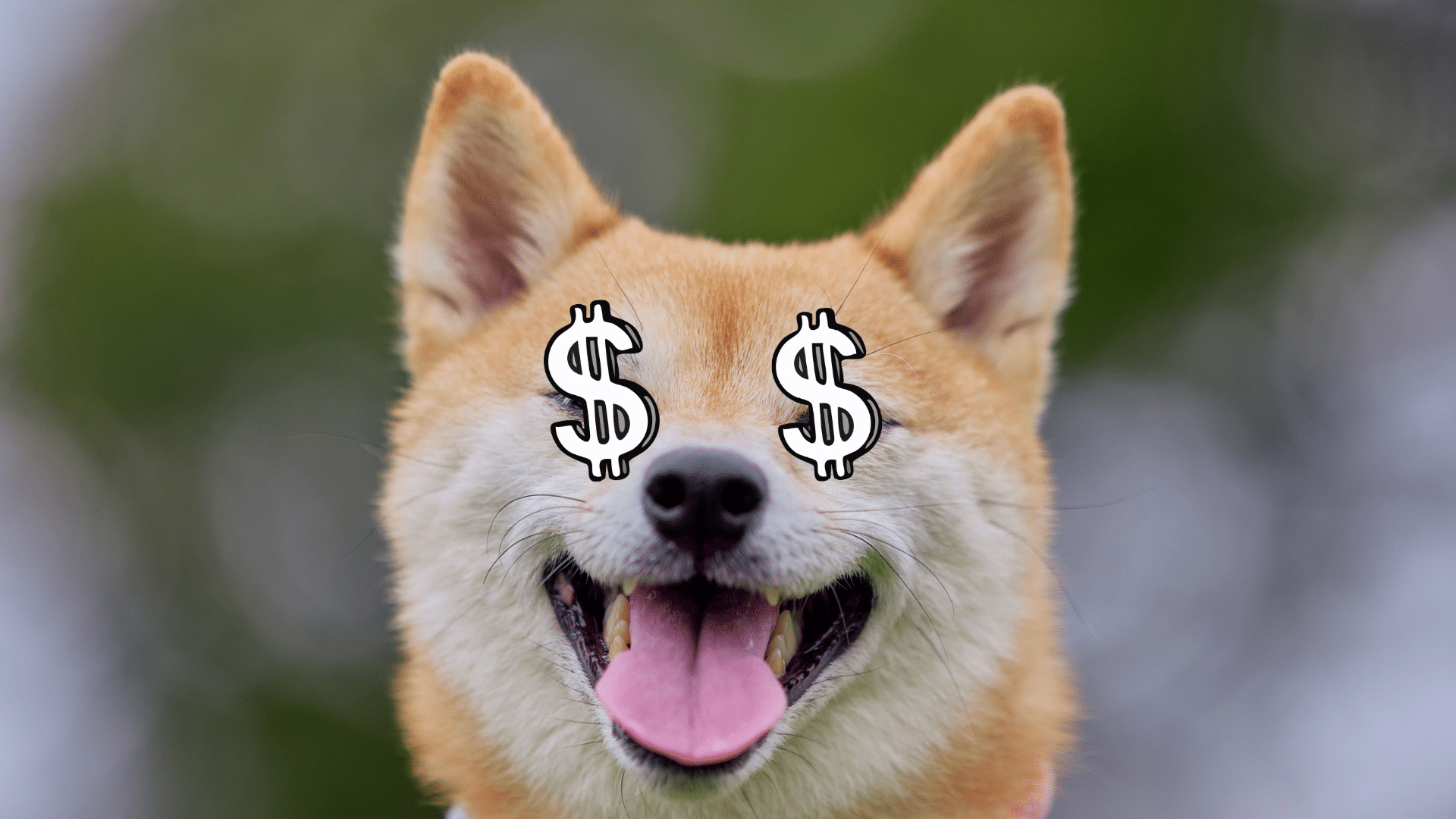 Gli $SHIB donati da Vitalik valgono 500 milioni. No profit che li riceve cambia tutto