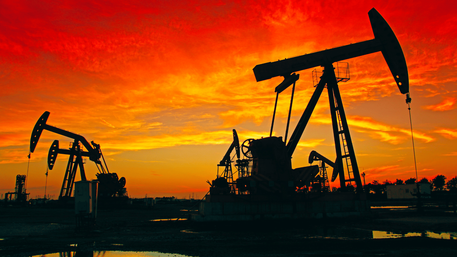 Petrolio a -3% dopo la grande corsa. Puoi controllare i prezzi soltanto qui