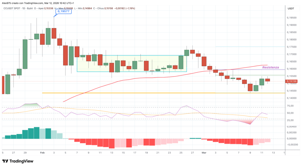 CC daily