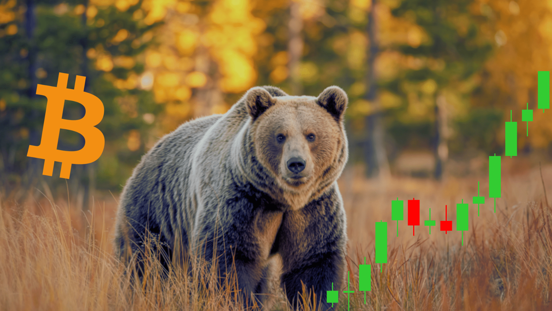 Bitcoin: la sofferenza è (quasi) finita: questa metrica on-chain lo conferma