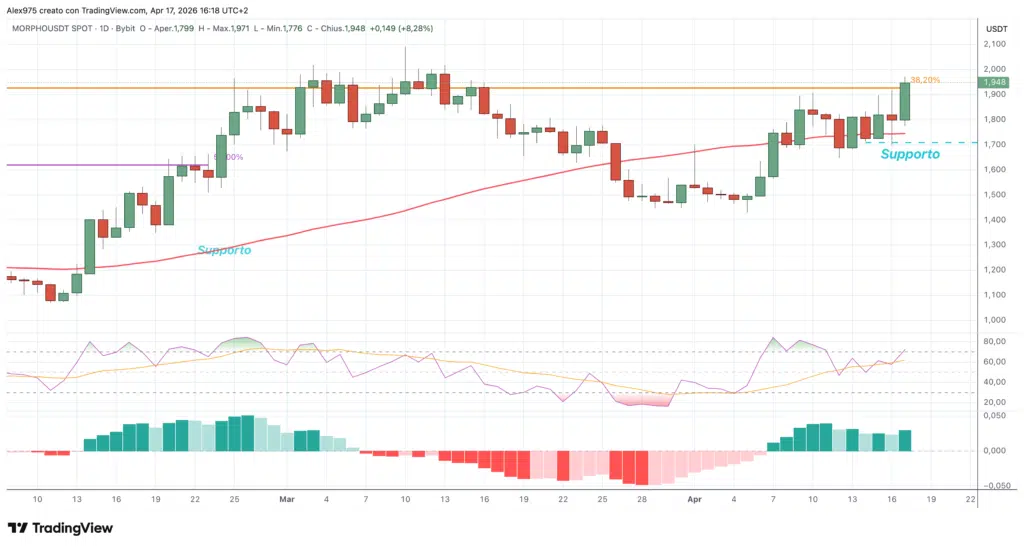 Morpho daily 17 aprile 2026