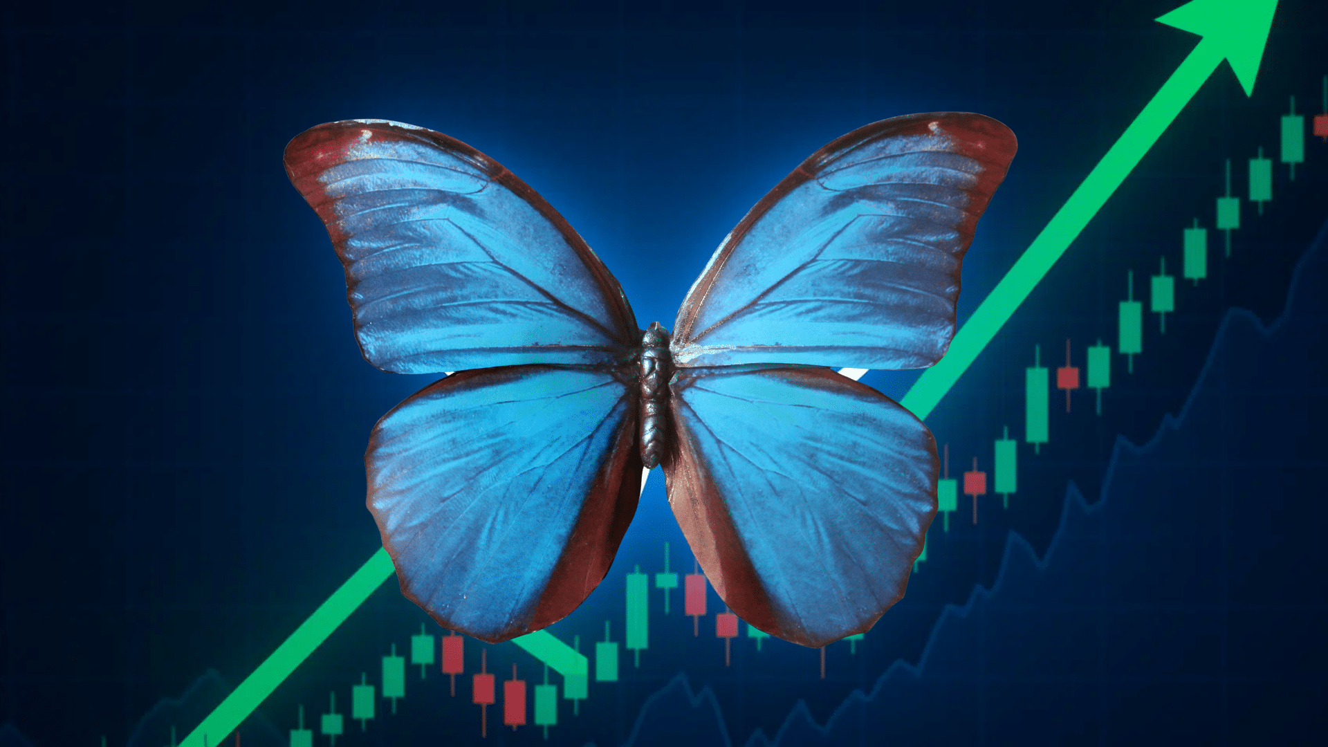 Morpho vola del 92% nel 2026, ma il prezzo deve confermare il breakout