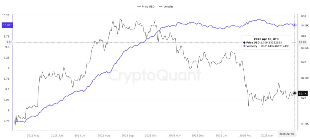 Velocity di Ethereum - Fonte: CryptoQuant
