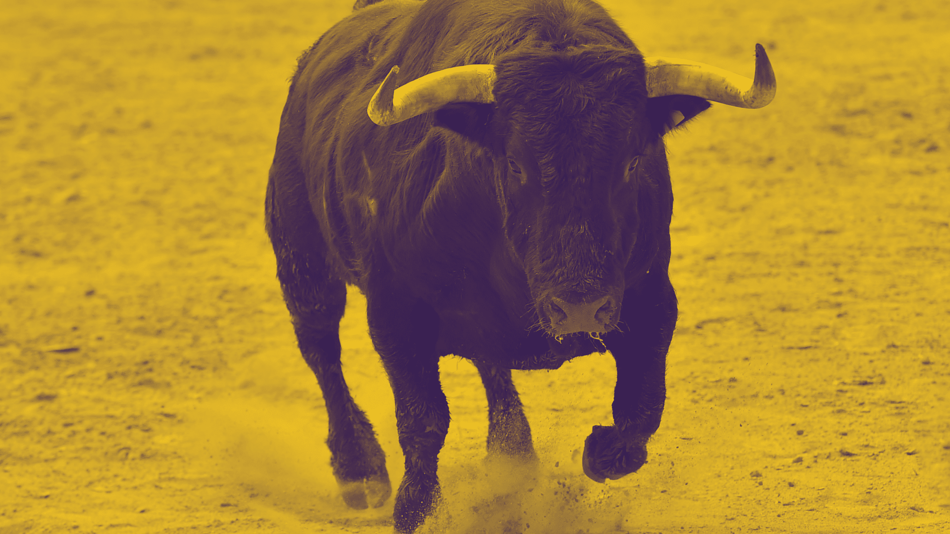 Investitori top: bear market finito su Bitcoin e Ethereum. Ecco cosa hanno detto