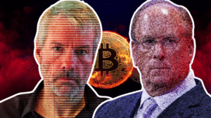 Larry Fink contro Micheal Saylor