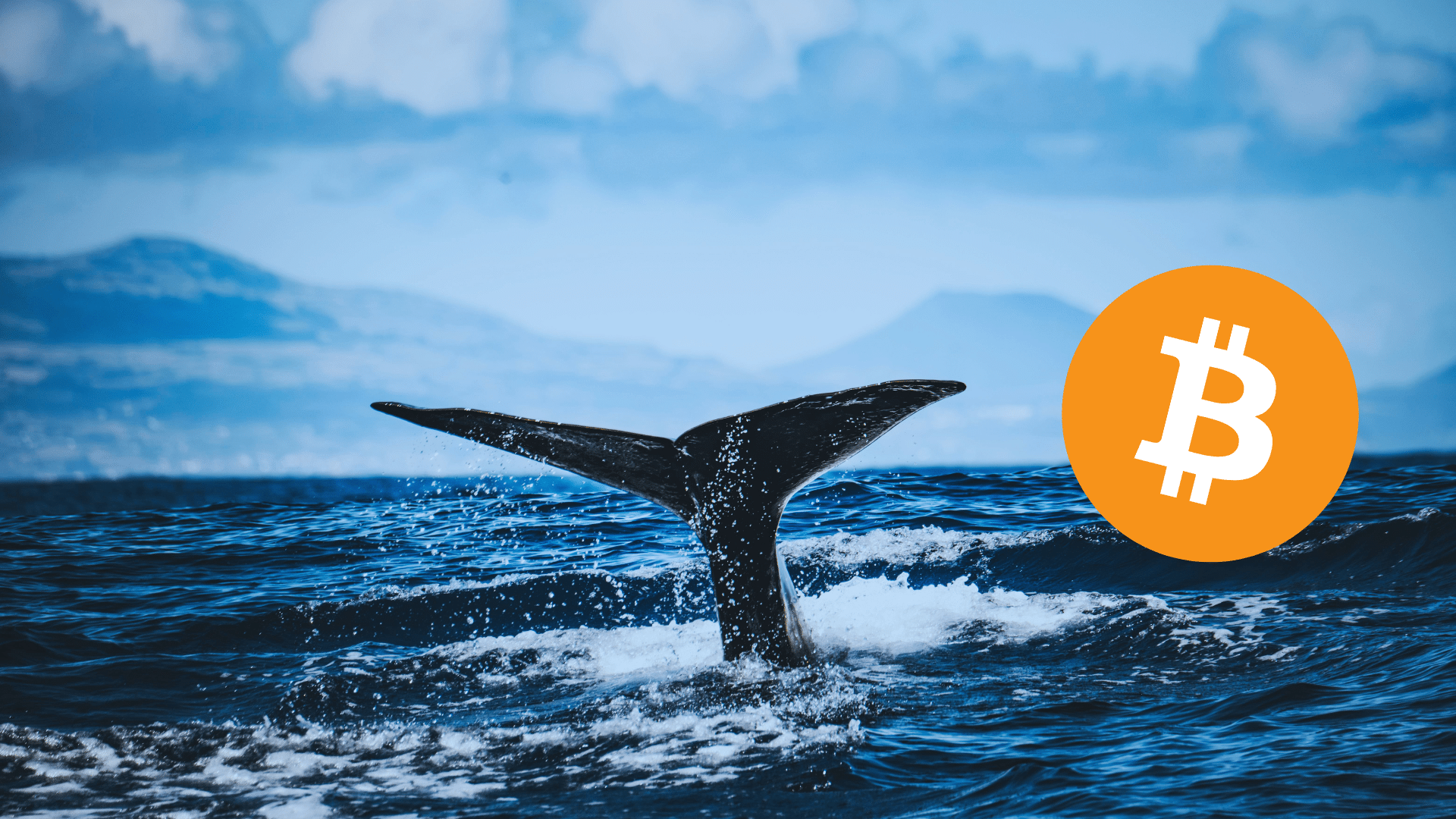 Bitcoin: le whale restano bearish: -180.000 BTC venduti nell’ultimo anno