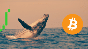 Hyperliquid prezzo balene crypto Bitcoin