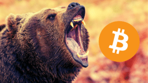 Bitcoin bear market 2022 investitori orso