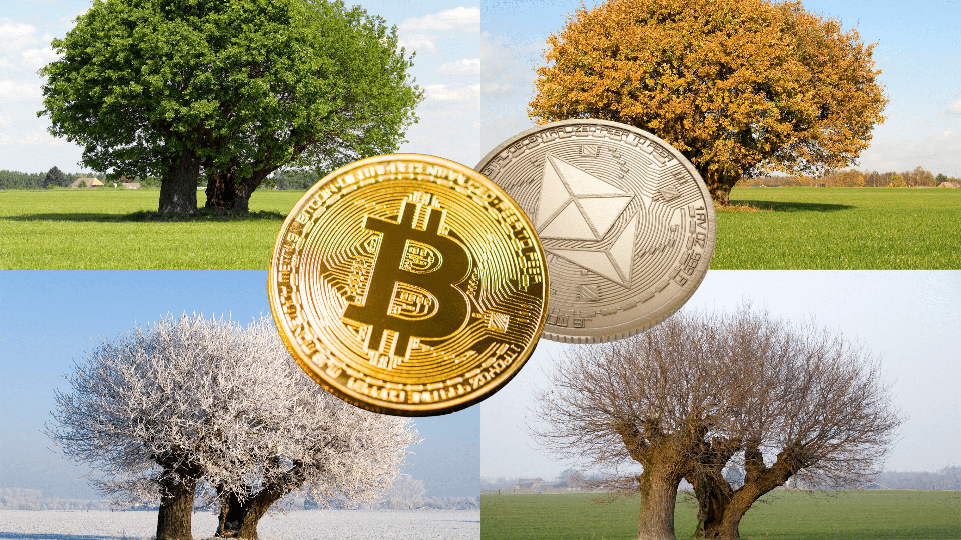 Ethereum e Bitcoin: separazione in vista. I numeri dell'anomalia di cui non parla nessuno