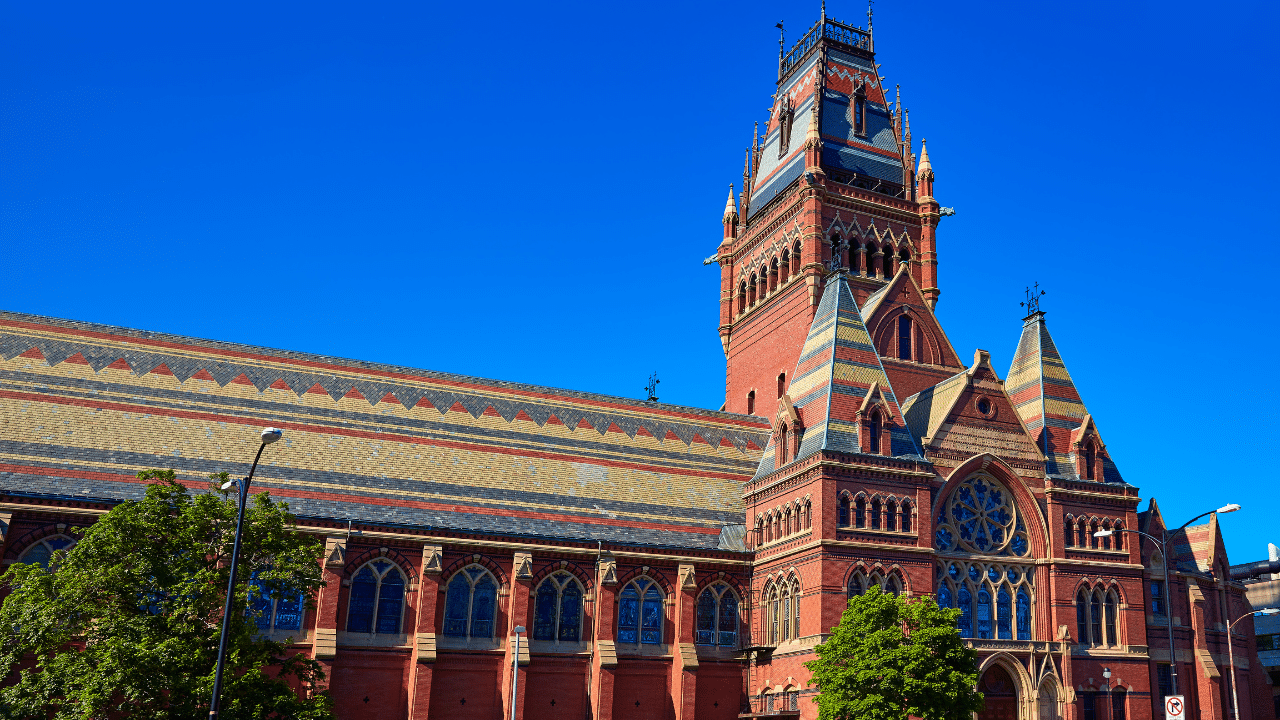 Harvard vende tutti i suoi Ethereum e taglia Bitcoin del 40%. Altre università invece...