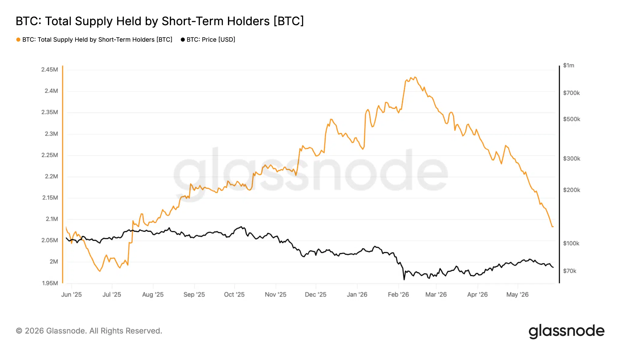 Supply detenuta da short-term holder Bitcoin