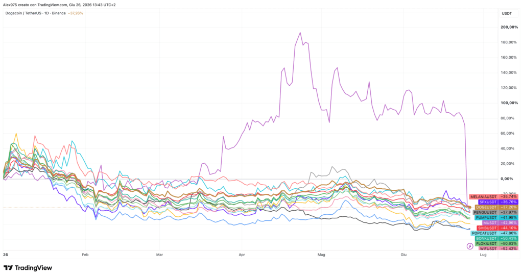Andamento Memecoin YTD