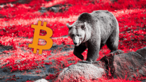 Bitcoin piccoli investitori segnale bear