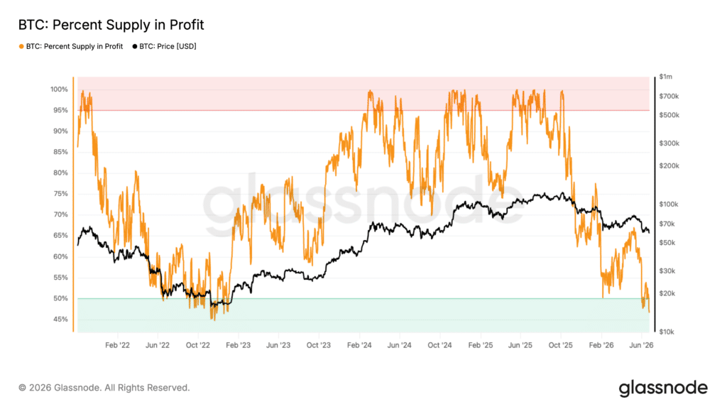 Bitcoin supply in profitto