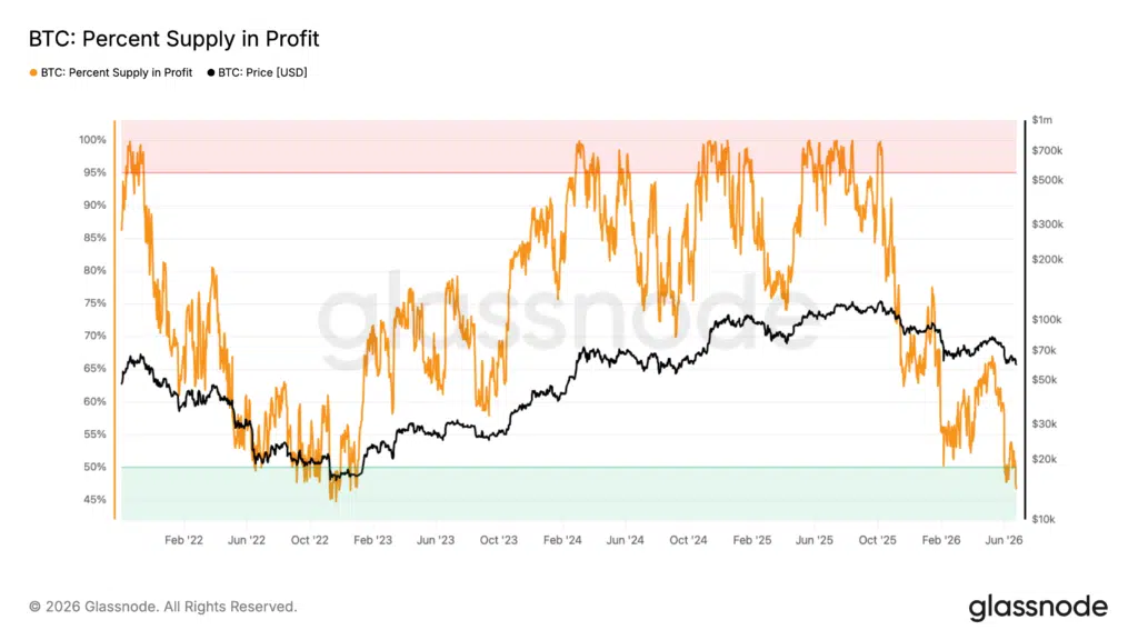 Bitcoin supply in profitto
