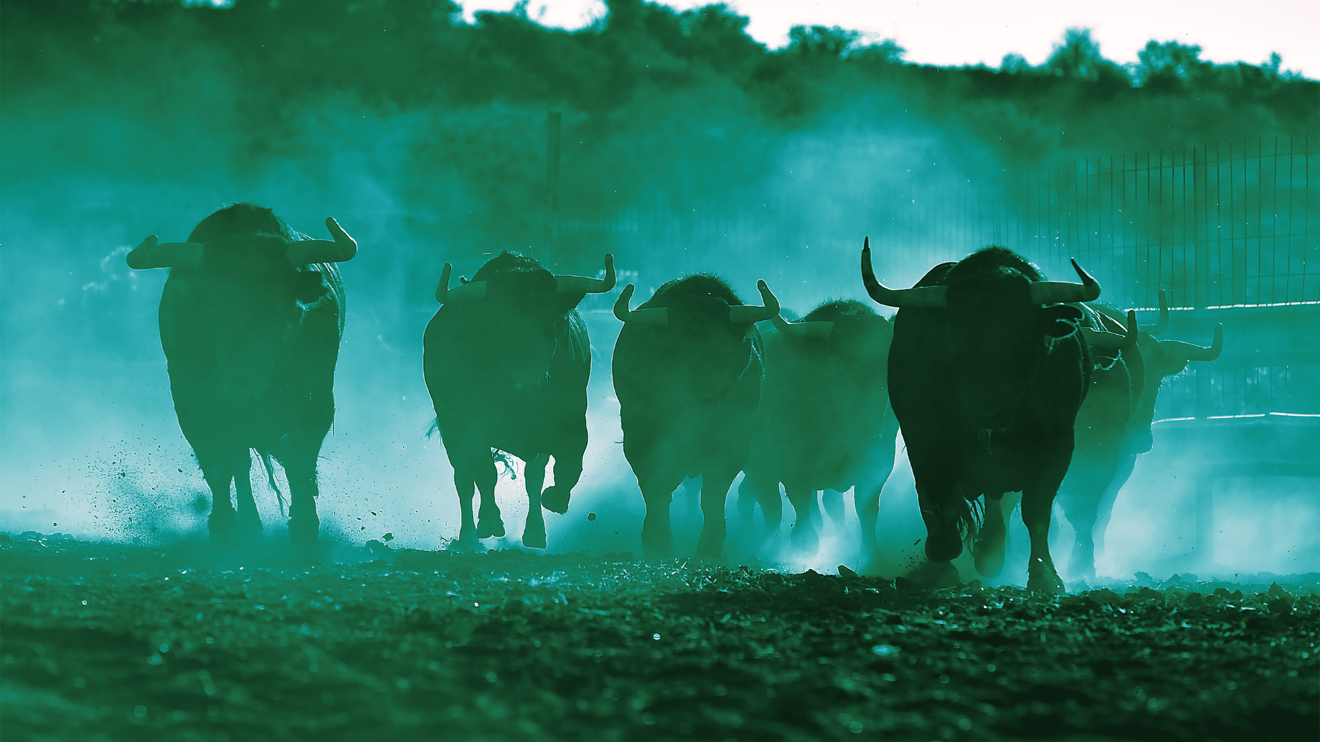 Mercato crypto: "Il bello deve ancora venire". Parla investitore con 10 miliardi in Ethereum